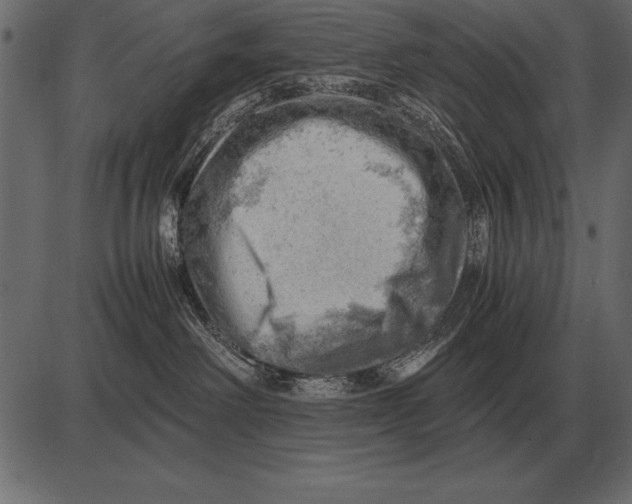 X0000085740238200704091518