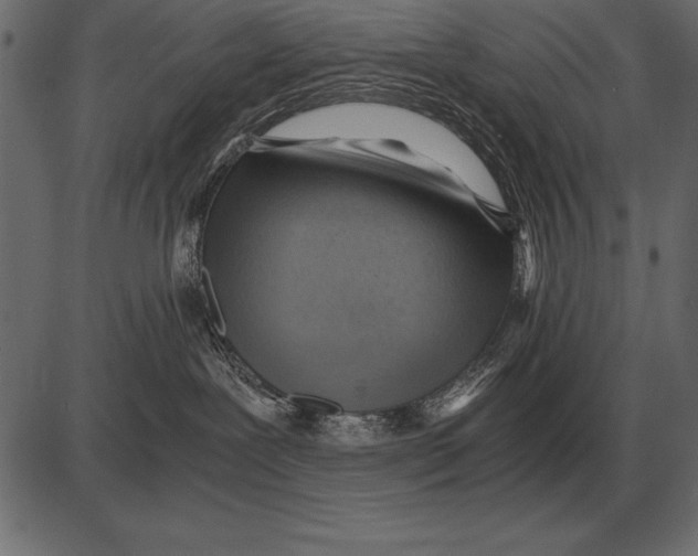X0000085740239200704091518