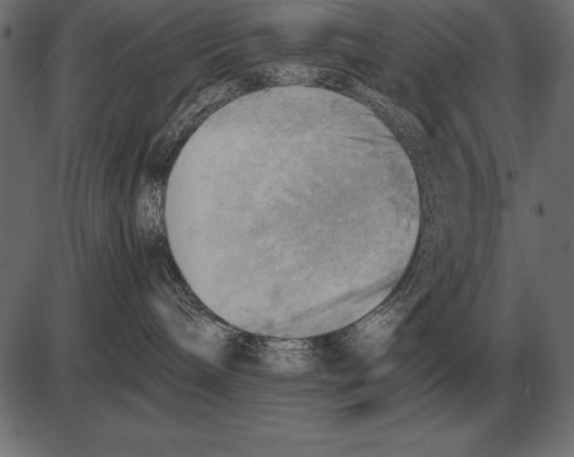 X0000085740240200704091518