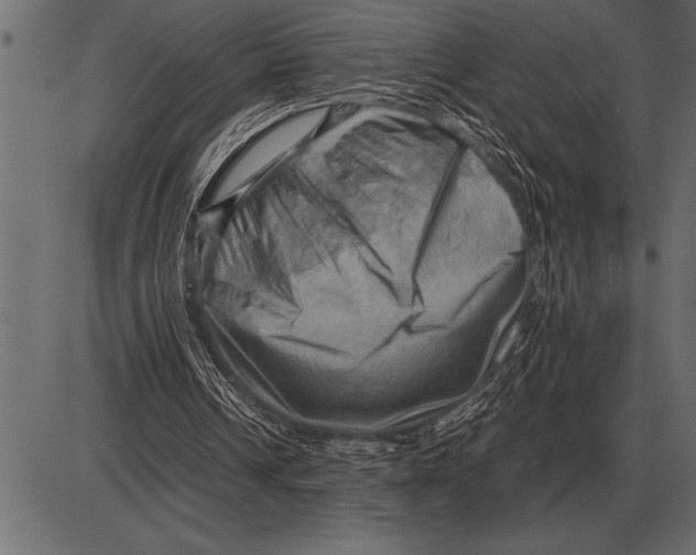 X0000085740242200704091517