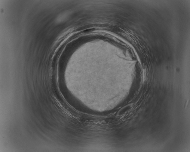 X0000085740243200704091517