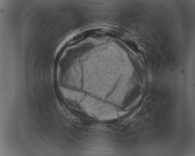 X0000085740244200704091517