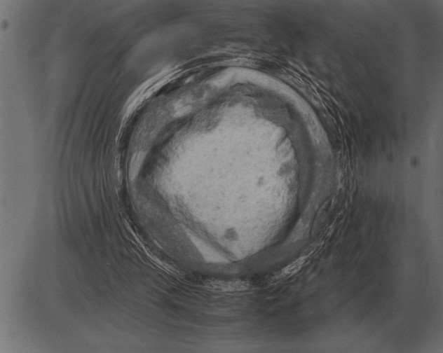 X0000085740245200704091517