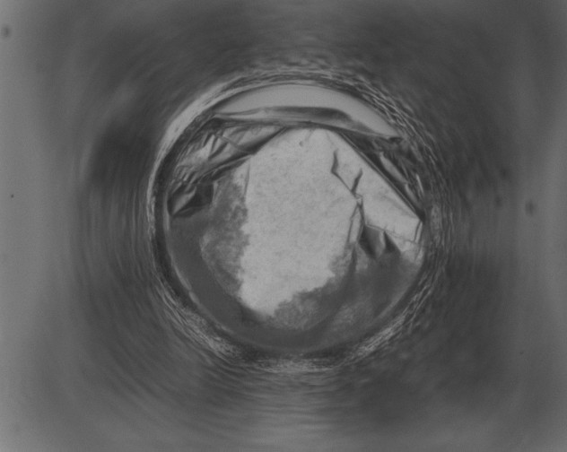 X0000085740246200704091517