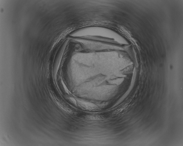 X0000085740250200704091517
