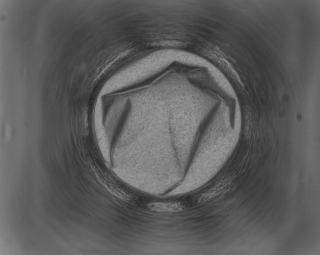X0000085740251200704091517