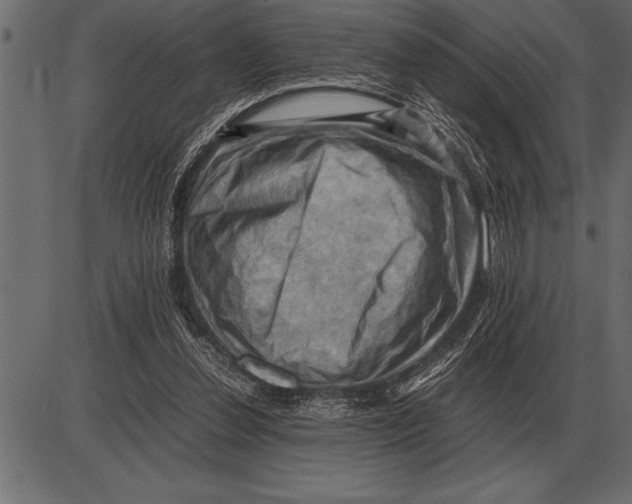 X0000085740252200704091517