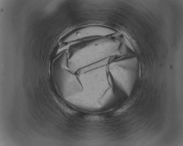 X0000085740253200704091517