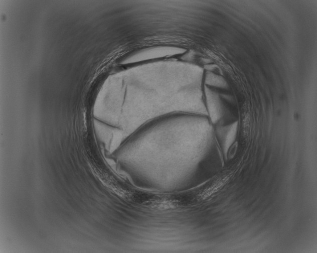 X0000085740254200704091517