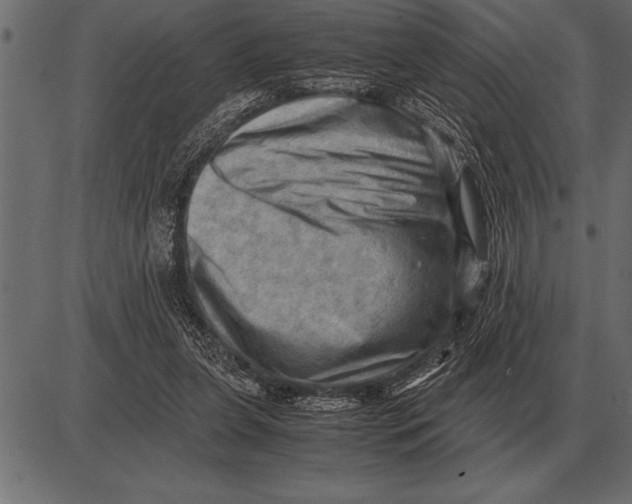 X0000085740255200704091517