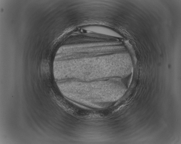 X0000085740256200704091517