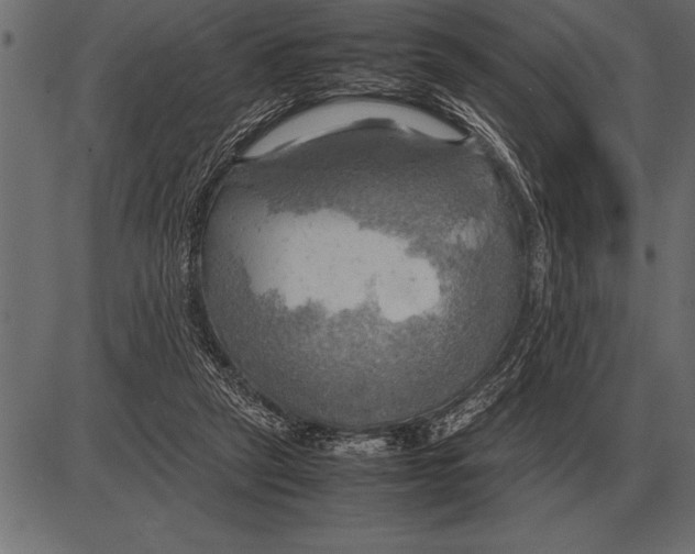 X0000085740257200704091517