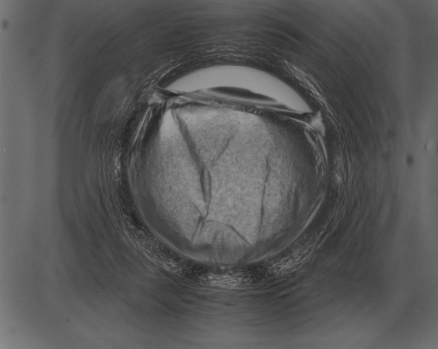 X0000085740259200704091517