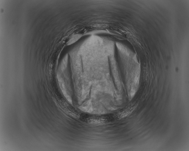 X0000085740263200704091517