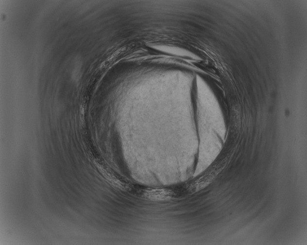 X0000085740269200704091517