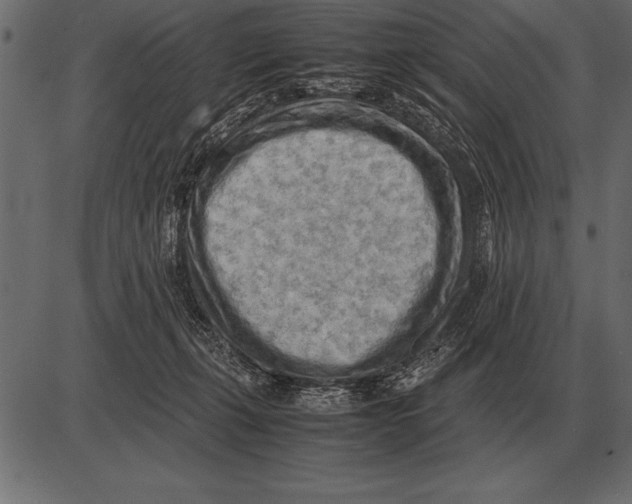 X0000085740271200704091517