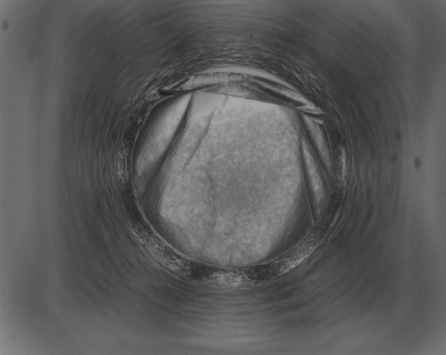 X0000085740272200704091517