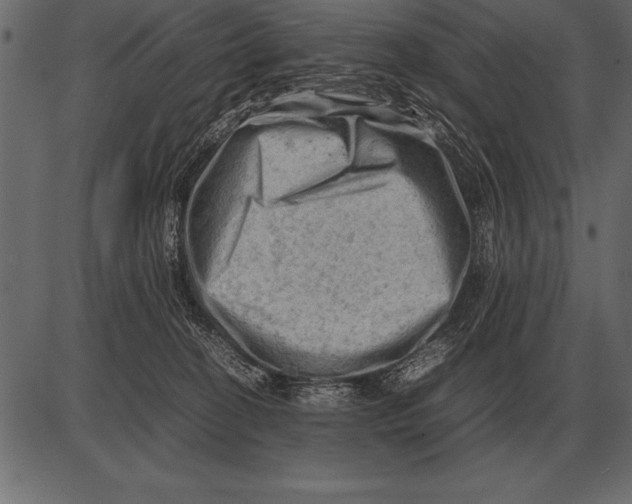 X0000085740274200704091517