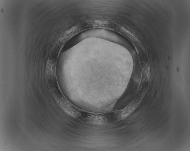 X0000085740276200704091517