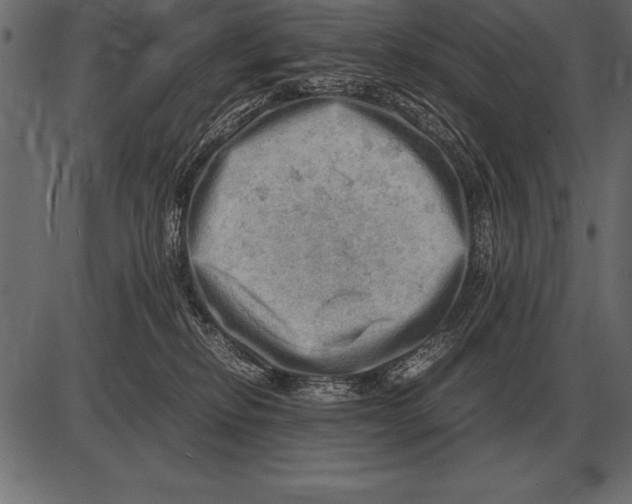 X0000085740278200704091517