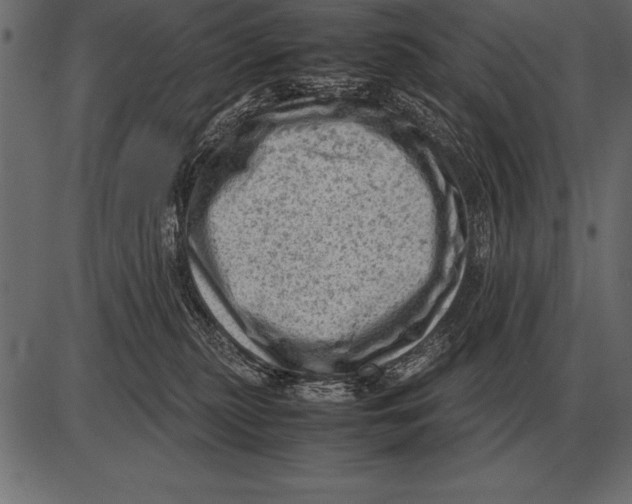 X0000085740279200704091517