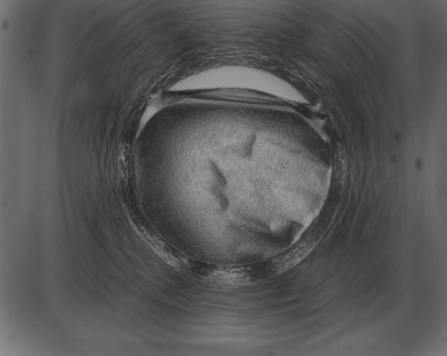 X0000085740280200704091517
