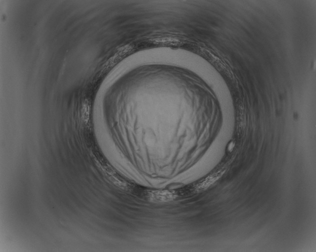 X0000085740281200704091517