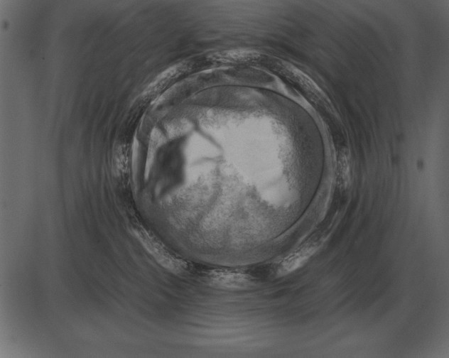 X0000085740284200704091518