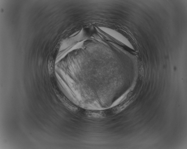 X0000085740285200704091518