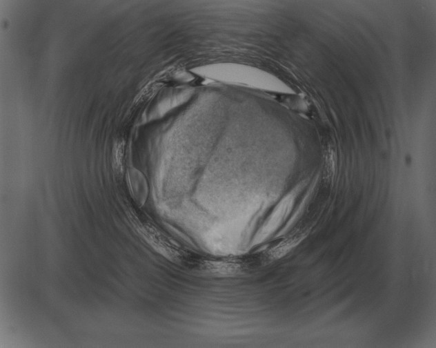 X0000085740286200704091518