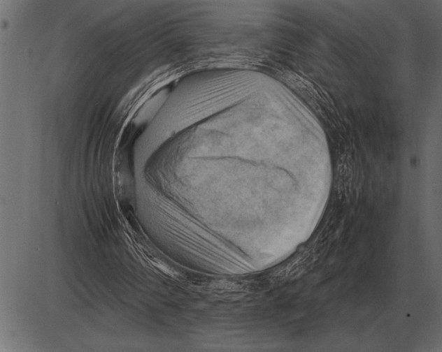 X0000085740290200704091517