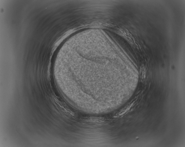 X0000085740292200704091517