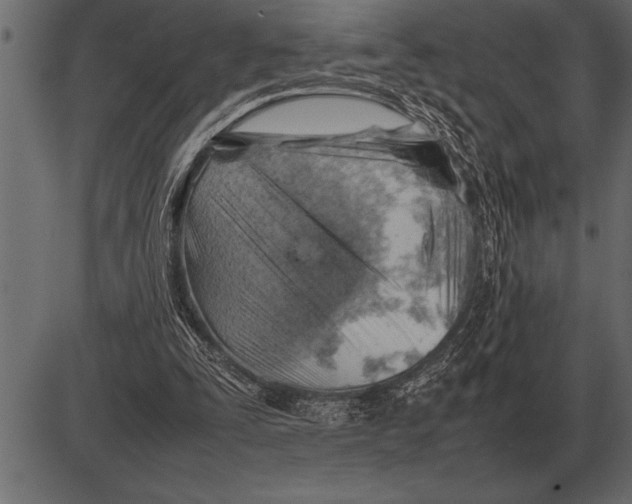 X0000085740295200704091517