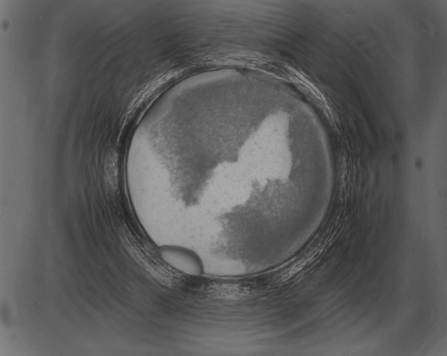 X0000085740298200704091517