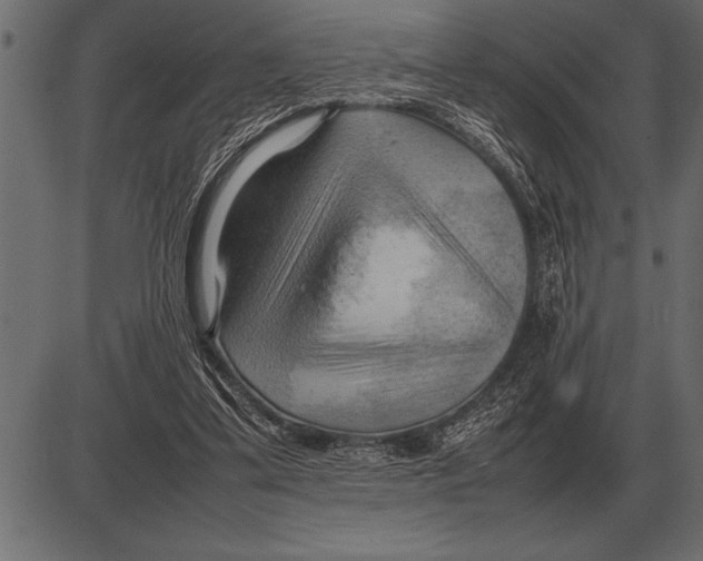 X0000085740299200704091517
