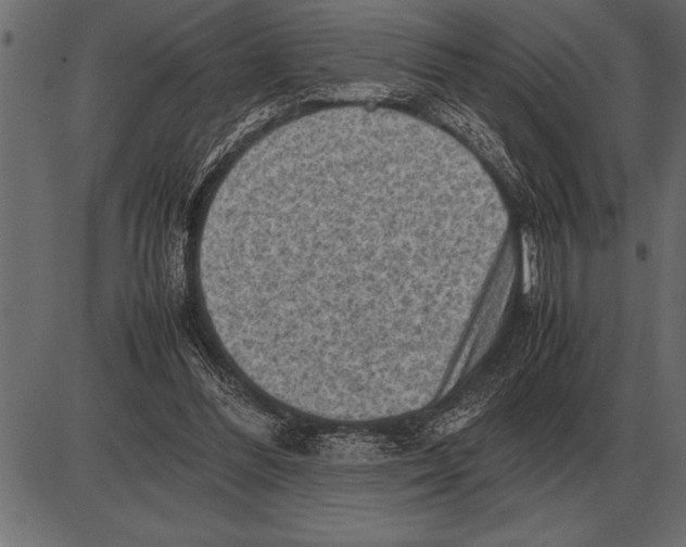 X0000085740300200704091517