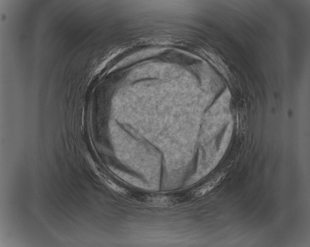 X0000085740301200704091517