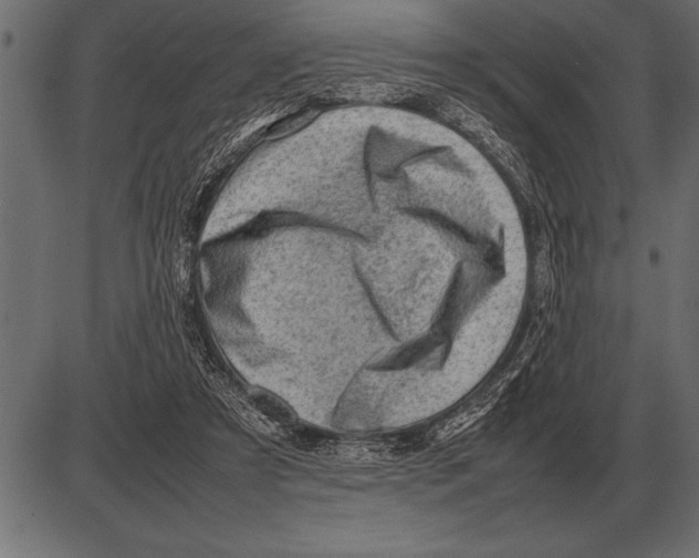 X0000085740305200704091517
