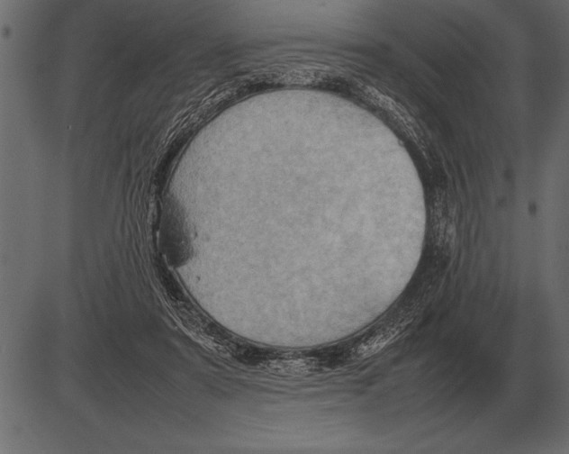 X0000085740307200704091516
