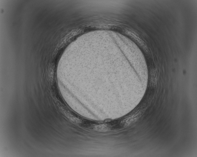 X0000085740309200704091516