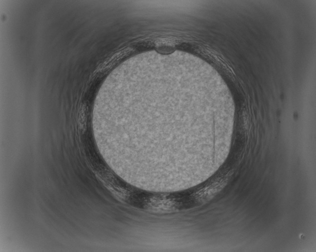 X0000085740311200704091516