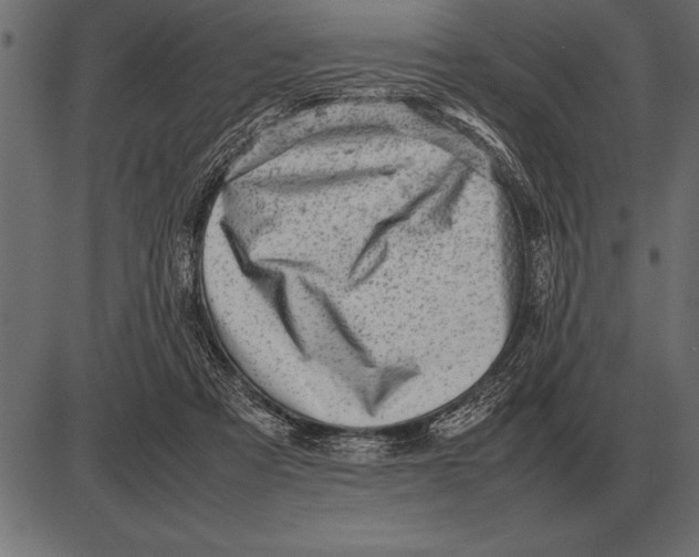 X0000085740313200704091516