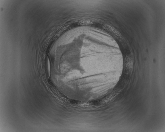 X0000085740315200704091516