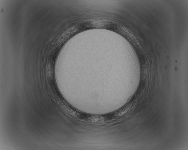 X0000085740317200704091516