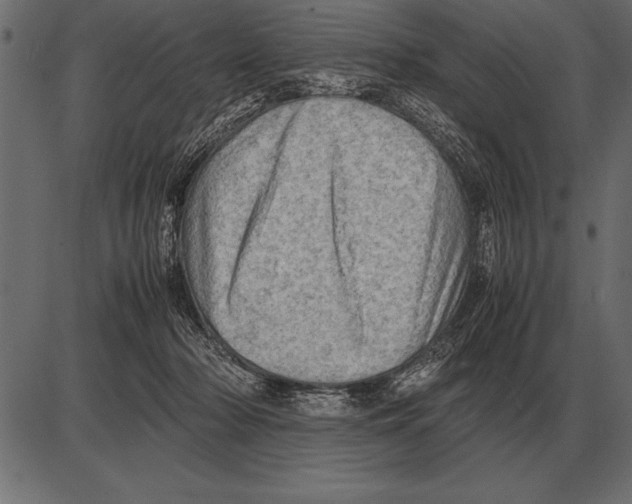 X0000085740318200704091516