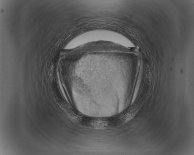 X0000085740319200704091516