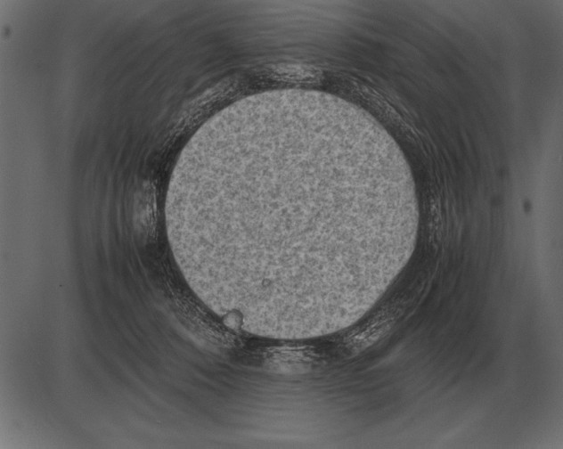 X0000085740320200704091516