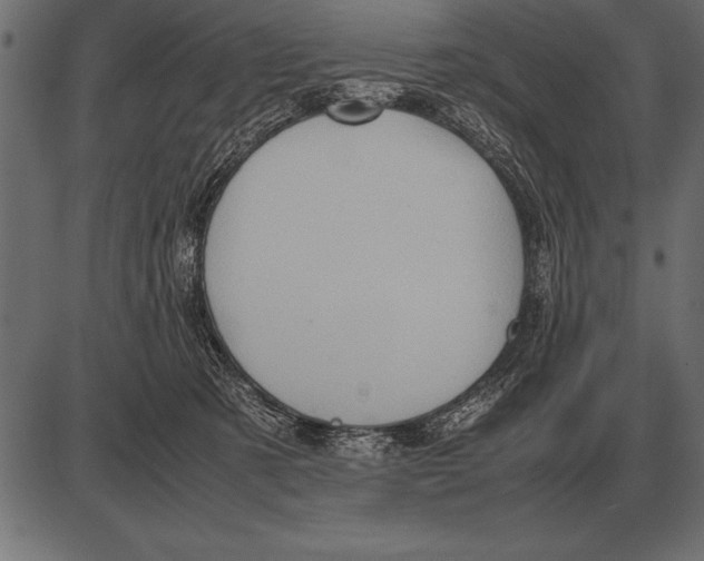 X0000085740321200704091516