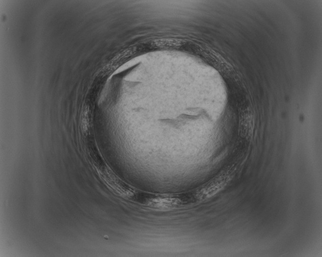 X0000085740323200704091516