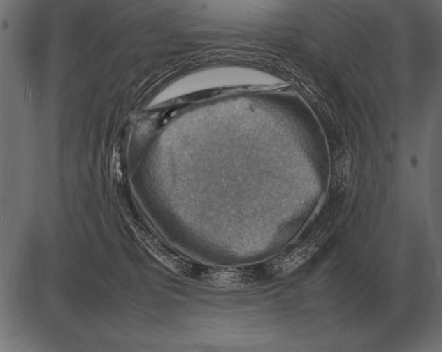 X0000085740325200704091516